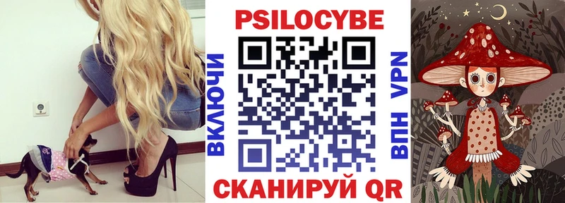 Псилоцибиновые грибы ЛСД  Купить закладки  Лебедянь 